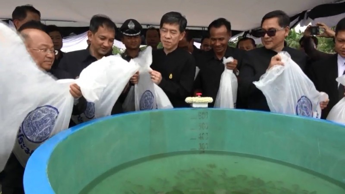 ระยอง!! จัดงานถวายอาลัย สำนึกในพระมหากรุณาธิ นำส่วนราชการ-นายอำเภอ ปล่อยปลานิล ปลายี่สก 500,000 ตัว ถวายเป็นพระราชกุศลในหลวง ร.9