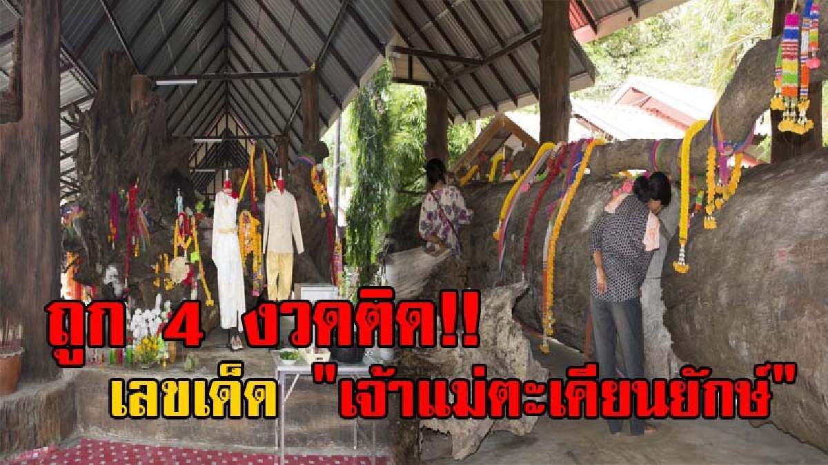 โค้งสุดท้ายก่อนหวยออก!! ชาวบ้านแห่กราบไหว้ "เจ้าแม่ตะเคียนยักษ์" บอกเลยเห็นเลขเด็ดโผล่ชัดๆ หลังจากเซียนหวยถูก 4 งวดติดกัน (มีคลิป)