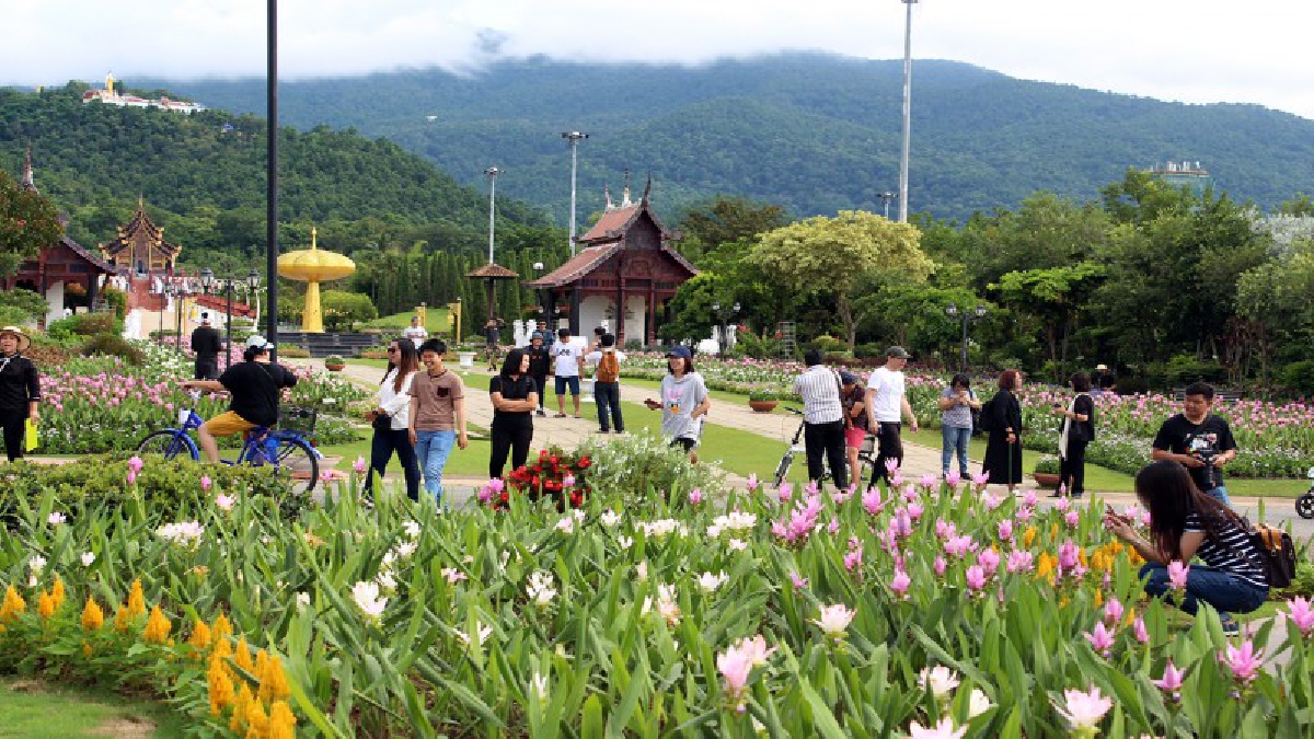 สุดประทับใจ “ทิวลิปแห่งสยาม” กว่า 1 แสนดอก บานสะพรั่งกลางสวนสวย ณ อุทยานหลวงราชพฤกษ์