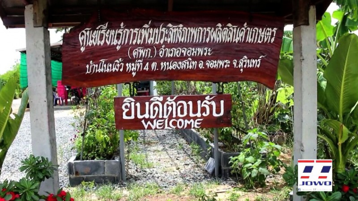 ชาวนาเมืองช้างไม่ง้อสารเคมี!! หันมาทำอินทรีย์ทั้งหมู่บ้าน เปิดศูนย์เรียนรู้ทฤษฎีใหม่ร.9 ก้าวตามรอยบาทศาสตร์พระราชาเศรษฐกิจพอเพียง ไม่อดตาย