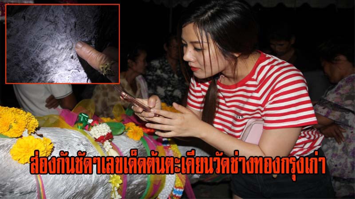 สุดคึกคัก!! ชาวบ้านแห่ขอหวยต้นตะเคียนวัดช่างทองกรุงเก่า ได้เลขสมใจกันทั่วหน้า!! ร่างทรงทำพิธีคาบวันพระกับวันโกนตอนเที่ยงคืน (ชมคลิป)
