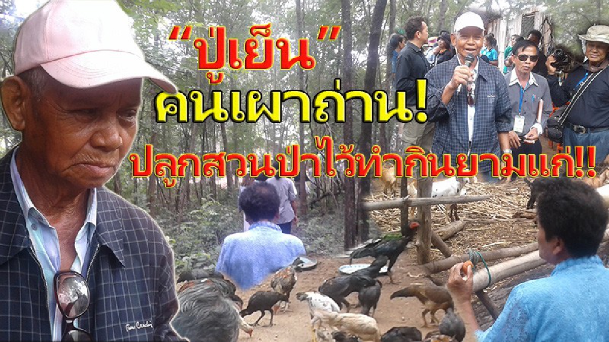 เผยวิถีชีวิต..จากคนเผาถ่าน!! “ปู่เย็น” อดีตเคยเป็นคนเผาถ่าน ก้าวมาเป็น “วิทยากร” ที่เป็นตำนาน “ปรัชญาเศรษฐกิจพอเพียง” แห่งเมืองโคราช (คลิป)
