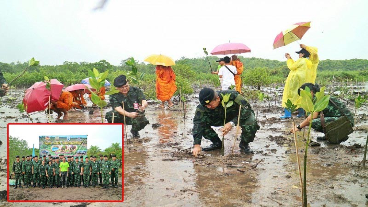 พร้อมใจปลูกป่าชายเลน ฝ่ายปกครอง ทหาร นักเรียน พระสงฆ์ ร่วมปลูกป่าชายเลน “ชุมชนร่วมใจทดแทนคุณแผ่นดิน” 1,999 ต้น (มีคลิป)