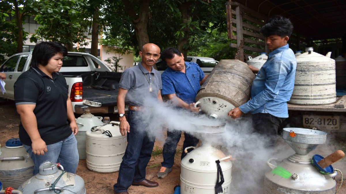 เกษตรกรเตรียมเฮ!! ปศุสัตว์กาฬสินธุ์พร้อมส่งเสริมเลี้ยงโคเนื้อแจกน้ำเชื้อฟรี สนองนโยบายรัฐบาลทดแทนเกษตรกรลดพื้นที่ปลูกข้าว (มีคลิป)