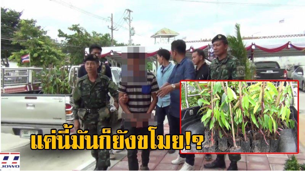 อยู่ยากขึ้นทุกวัน!! ตร.รวบ หนุ่มวัย21 โจรขโมยกิ่งมังคุดและทุเรียน จำนวน 51 ต้น ก่อนรับสารภาพหมดเปลือก อ้างจะนำไปปลูกในที่ของตัวเอง!? (คลิป)