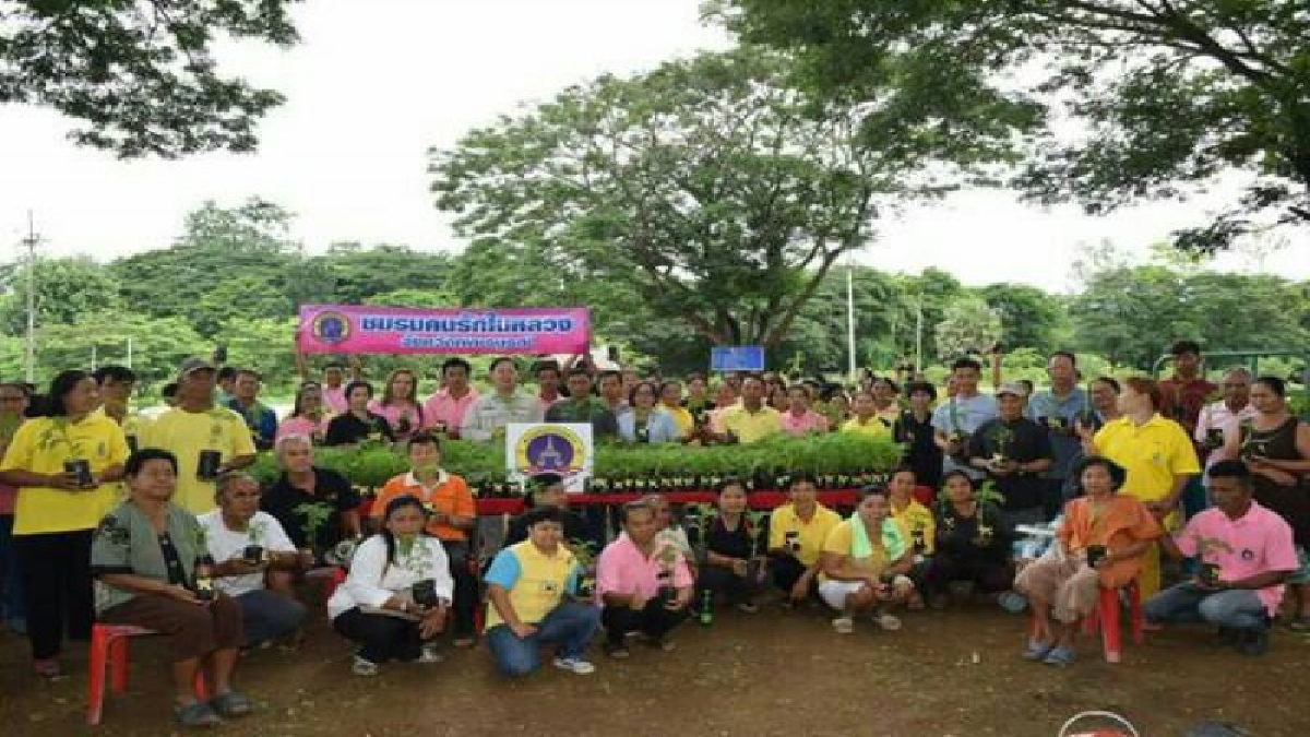 สีเหลืองบานสะพรั่ง!! ชมรมคนรักในหลวงเพชรบูรณ์แจกต้นกล้าดอกดาวเรืองกว่า 1 หมื่นต้น (คลิป)