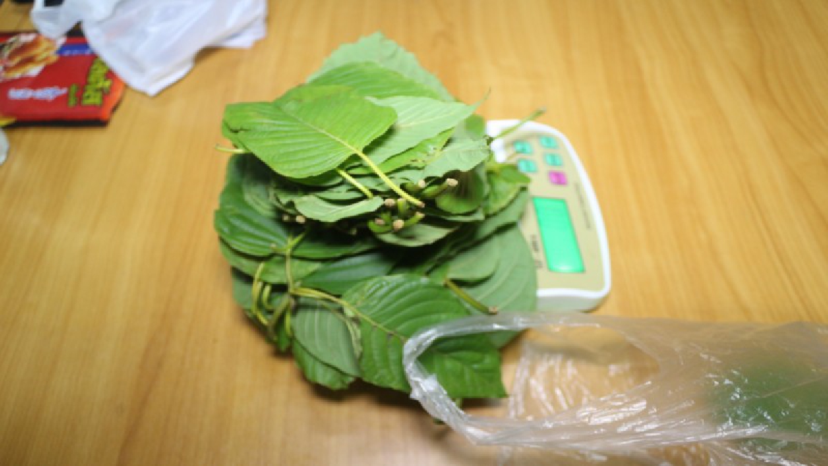ปทุมธานี ฝ่ายปกครองร่วมตร.ทหารบุกค้นร้านซ่อมรถจยย.จับวัยรุ่นมั่วสุมพร้อมของกลางน้ำต้มกระท่อม