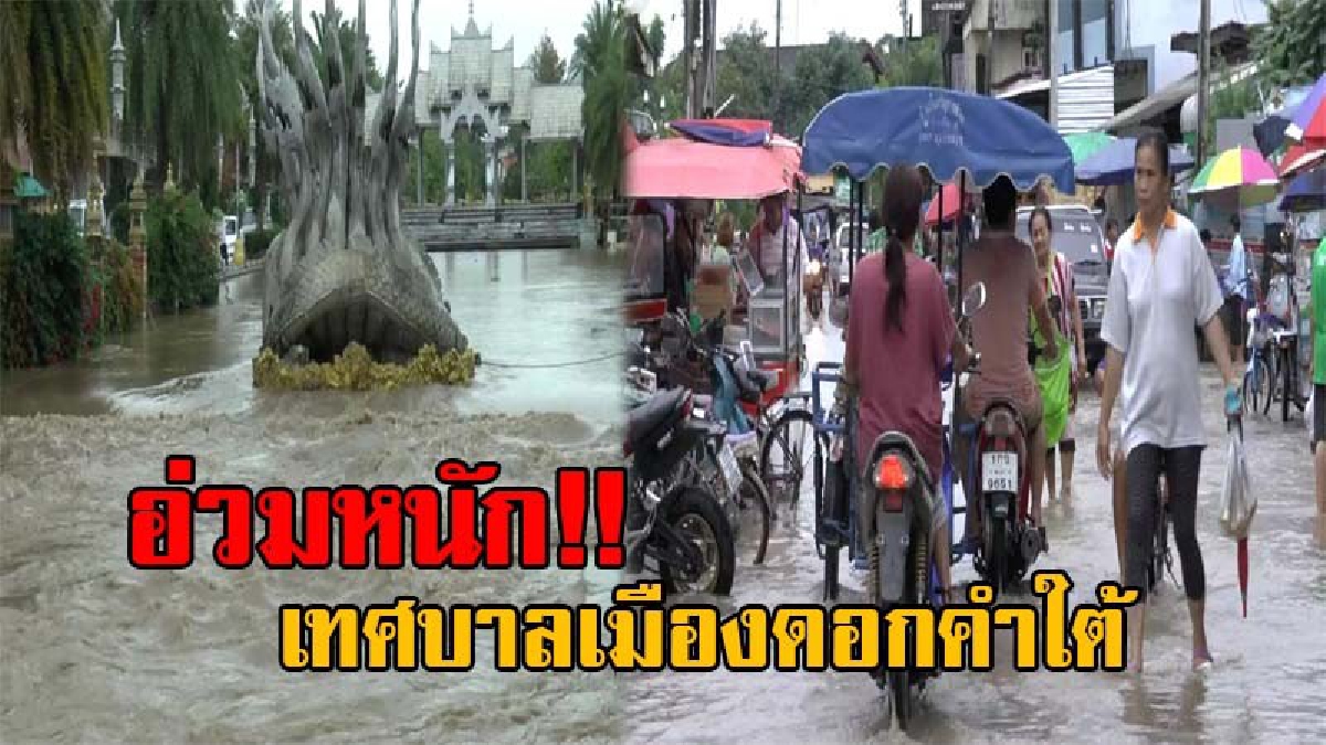 ฝนตกหนัก!! น้ำลำน้ำร่องช้าง ทะลักเข้าท่วมเขตเทศบาลเมืองดอกคำใต้ ทั้งบ้าน-ตลาดสดจมน้ำ ถนนบางสายห้ามรถผ่าน หลังฝนตกต่อเนื่อง (มีคลิป)