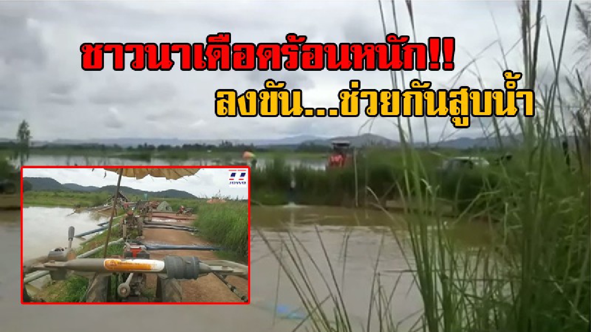 น้ำท่วมแล้ว!! ฝนตกต่อเนื่องติดต่อกันหลายวัน ต้นข้าวที่กำลังโตถูกน้ำท่วมเกือบมิด ชาวบ้านต้องลงขันช่วยกันสูบน้ำ ออกจากนาข้าวกว่าพันไร่(มีคลิป)