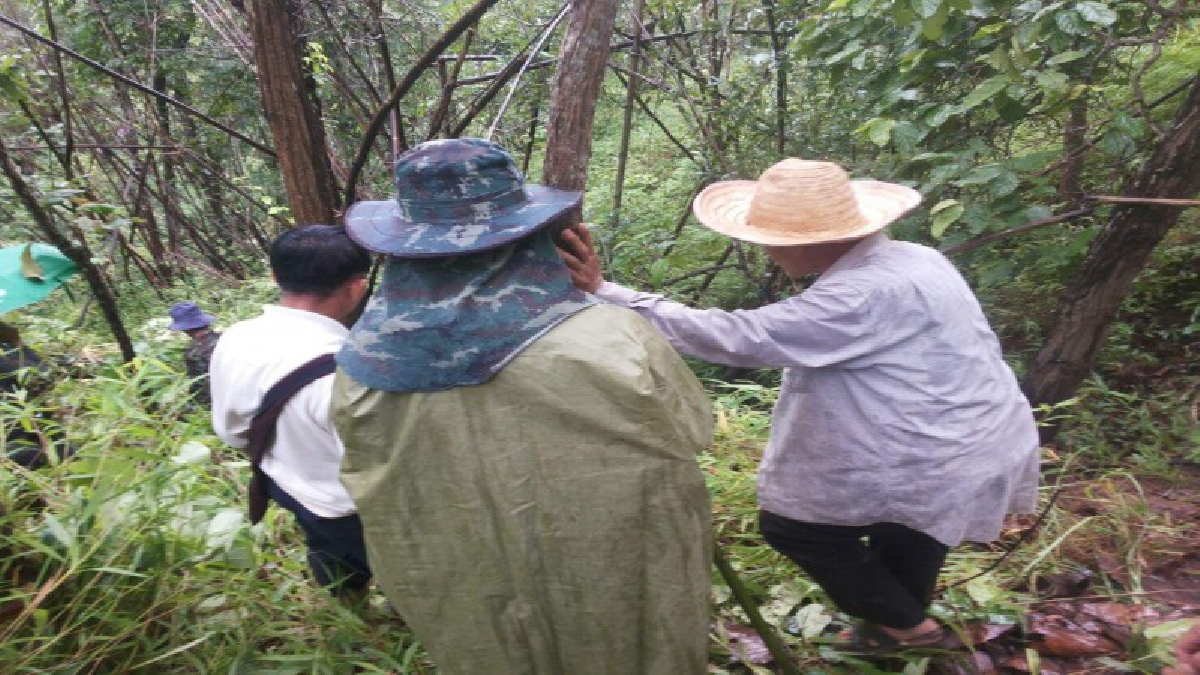 ผงะศพเน่าขึ้นอึดกลางป่าบนดอยสะเมิง ญาติยืนยันผู้ตายป่วยทางจิต