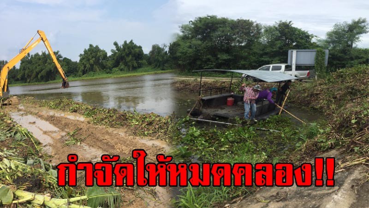 นายกอบจ.กาญจน์ ประกาศ!! เดินหน้ามาตรการกำจัดผักตบชวาตามนโยบายรัฐบาลให้หมดสิ้น แค่เดือนเดียวกำจัดได้เกือบ 4 ตัน (มีคลิป)