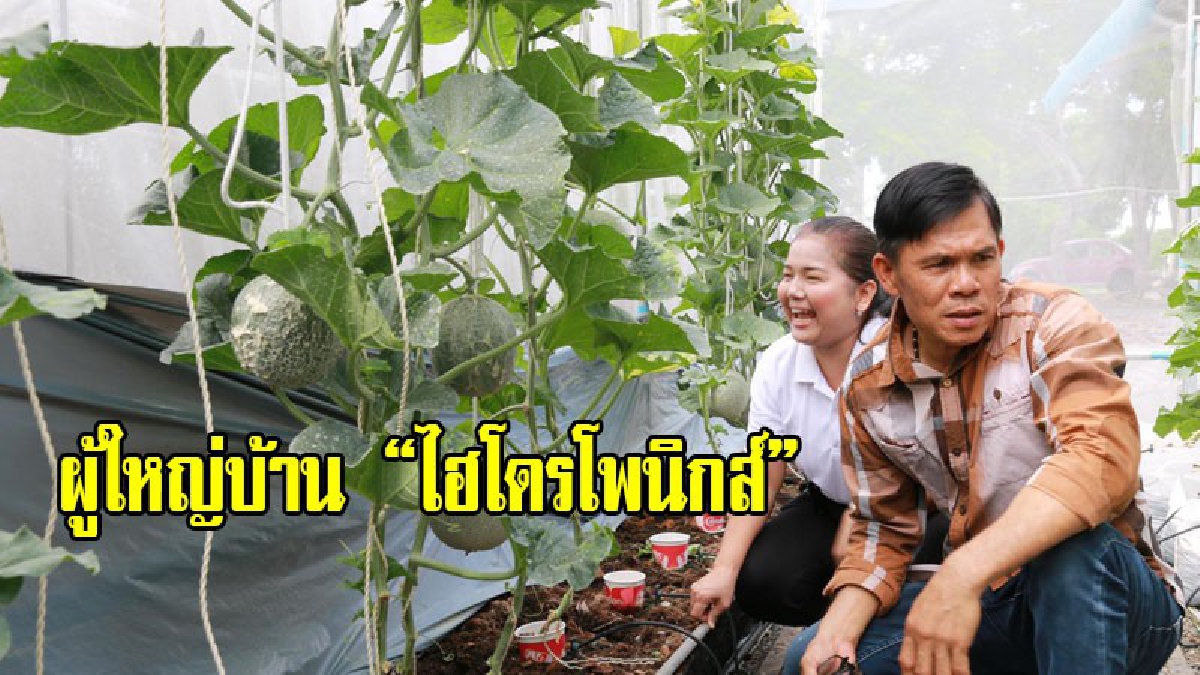 สุดยอดไอเดีย!! ผู้ใหญ่บ้านสมองใส ปลูกเมล่อนพร้อมพืชผักไฮโดรโพนิกส์ให้ลูกบ้านศึกษาและนำไปปรับใช้เป็นอาชีพเสริม