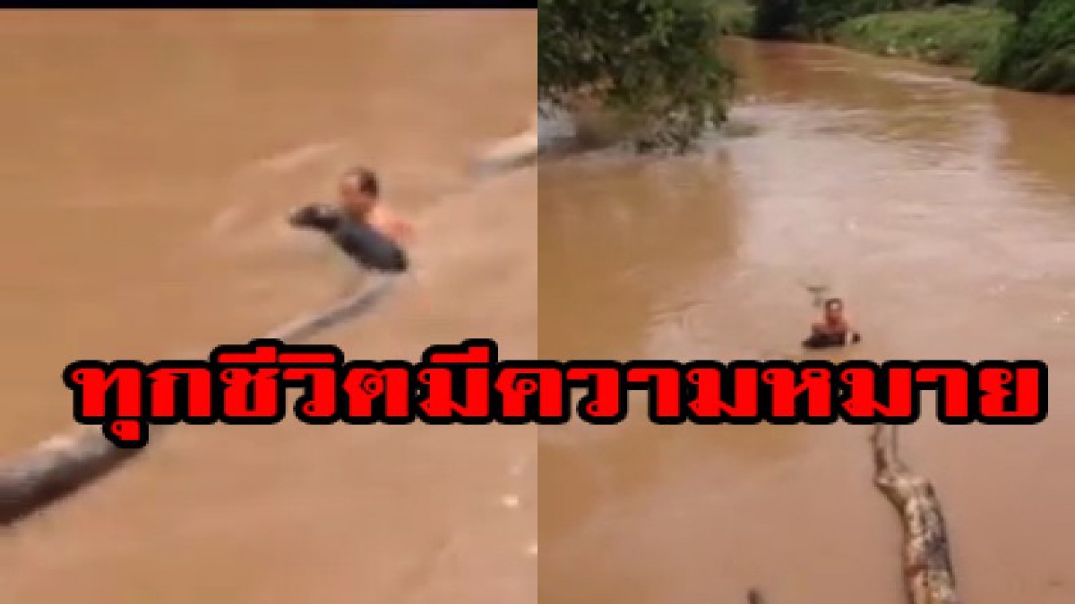 ทุกชีวิตมีความหมาย!!!ชาวโซเชี่ยลแห่ชื่่นชมหนุ่มเทศบาลน้ำใจงาม!!เสี่ยงชีวิตโดดน้ำเชี่ยวกราดช่วยชีวิตสุนัขกำลังจะจมน้ำพ้นความตาย (ชมคลิป)