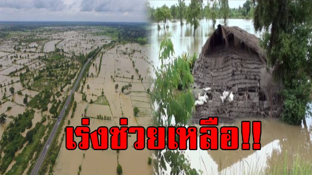 ร่วมมือช่วยกัน!! สำนักงานป้องกันและบรรเทาสาธารณภัย จ.ยโสธร ตั้งศูนย์ช่วยเหลือชาวบ้าน ที่ได้รับผลกระทบจากภัยน้ำท่วมอย่างเร่งด่วน! (มีคลิป)