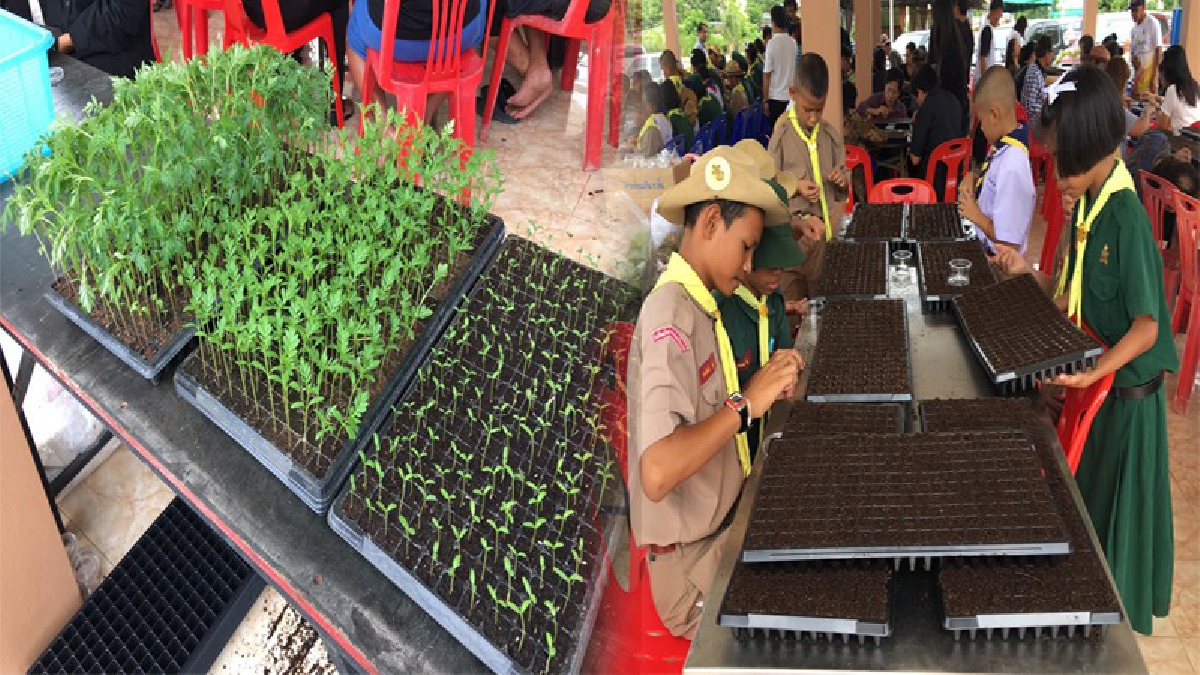 หน่วยงานราชการ ท้องถิ่น ประชาชน ชุมชนและเด็กเรียน ร่วมโครงการปลูกดอกดาวเรืองแจกจ่ายให้ประชาชนร่วมกันปลูก ถวายในหลวงรัชกาลที่ 9 (คลิป)