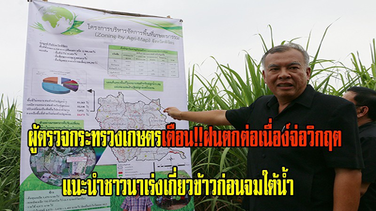 ผู้ตรวจกระทรวงเกษตร ลงพื้นที่สั่งการ!!รับมืออุทกภัยหลังพบปริมาณน้ำภาคเหนือ ฝนตกต่อเนื่องคาดการณ์จ่อวิกฤตแนะนำชาวนาเร่งเกี่ยวข้าวก่อนจมใต้น้ำ