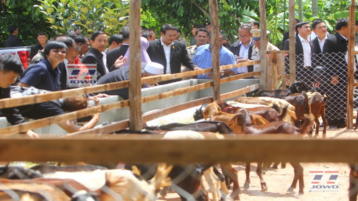 ยะลา!! พล.อ.อุดมเดชฯ หัวหน้าผู้แทนพิเศษรัฐบาล ลงยะลา ตรวจศูนย์เรียนรู้เศรษฐกิจพอเพียงบ้านปายอ กลุ่มการเลี้ยงแพะ