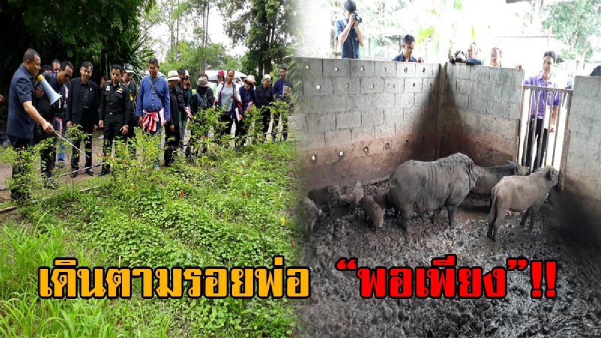 หนองคาย!! สำนักงานประชาสัมพันธ์และสื่อมวลชน จัดโครงการ "ประชาสัมพันธ์ส่งเสริมการขับเคลื่อน การพัฒนา ตามหลักปรัชญา เศรษฐกิจพอเพียง" (มีคลิป)