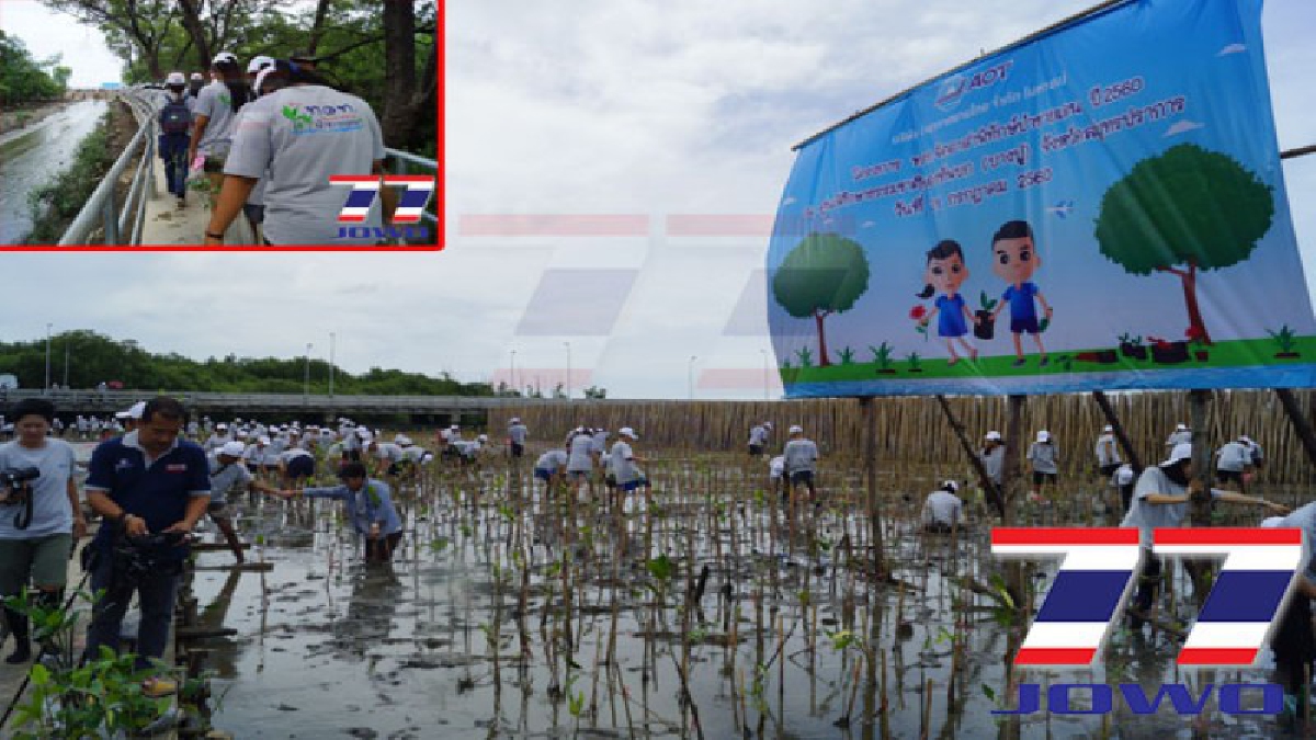 ท่าอากาศยานสุวรรณภูมิ นำเยาวชนจิตอาสาพิทักษ์ป่าชายเลน ในโครงการ ทอท.จิตอาสาพิทักษ์ป่าชายเลน ประจำปี 2560 (มีคลิป)
