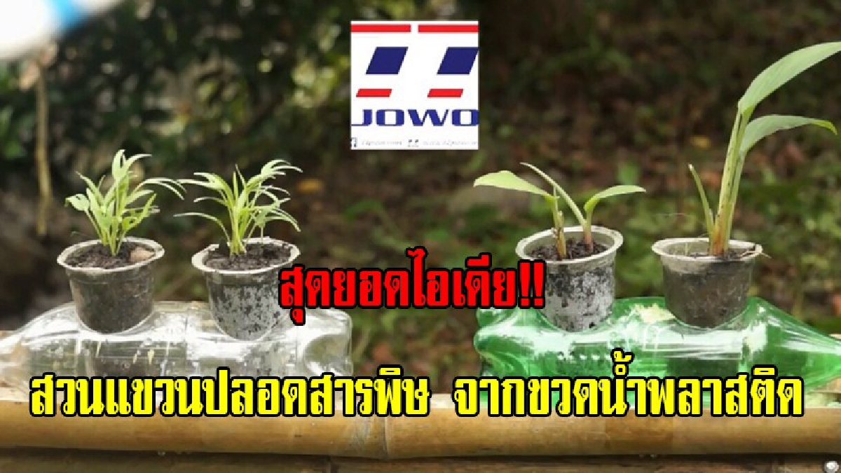สองสามีภรรยาไอเดียเจ๋ง!! ทำสวนแขวน ปลูก พืช ผัก สวนครัวปลอดสารพิษ จากขวดน้ำพลาสติก (มีคลิป)