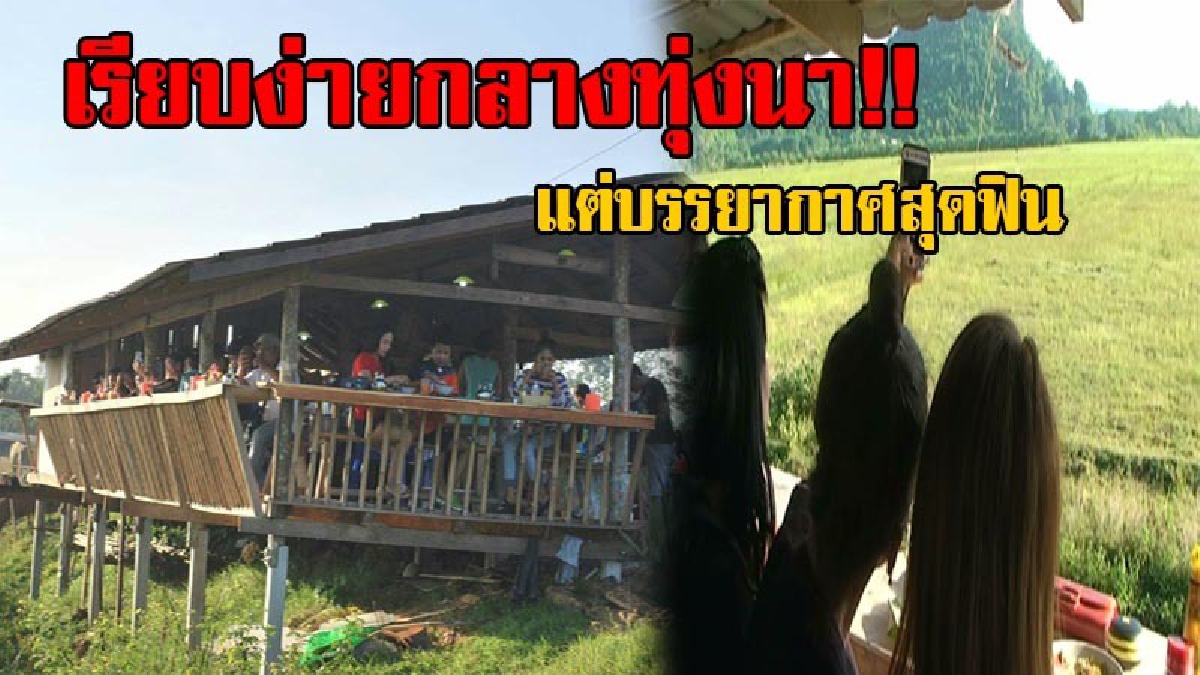 บรรยากาศสุดฟิน!! นทท.แห่เที่ยวสูดอากาศบริสุทธิ์ เติมโอโซน กับร้านอาหารกลางทุ่งนาแห่งแรก เรียบง่ายได้ใจฝุดๆ!? (มีคลิป)
