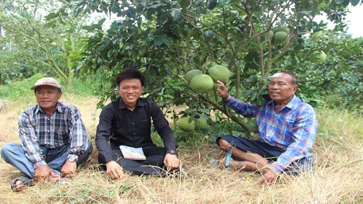 ของดีโคราช!! ชวนชิมส้มโอสุดอร่อย น้ำใต้เขื่อนลำตะคองแร่ธาตุสูง รสหวานฉ่ำ พร้อมแนะวิธีดูและวิธีปอกส้มโอชั้นเซียน (ชมคลิป)