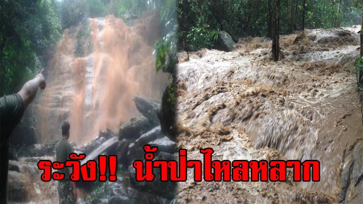 เฝ้าระวังน้ำป่าไหลหลาก!! อุทยานแห่งชาติดอยสุเทพ-ปุย ประกาศปิด "น้ำตกตาดหมอก" ชั่วคราว หลังพบฝนตกหนัก หวั่นเกิดอันตรายกับนักท่องเที่ยว (คลิป)