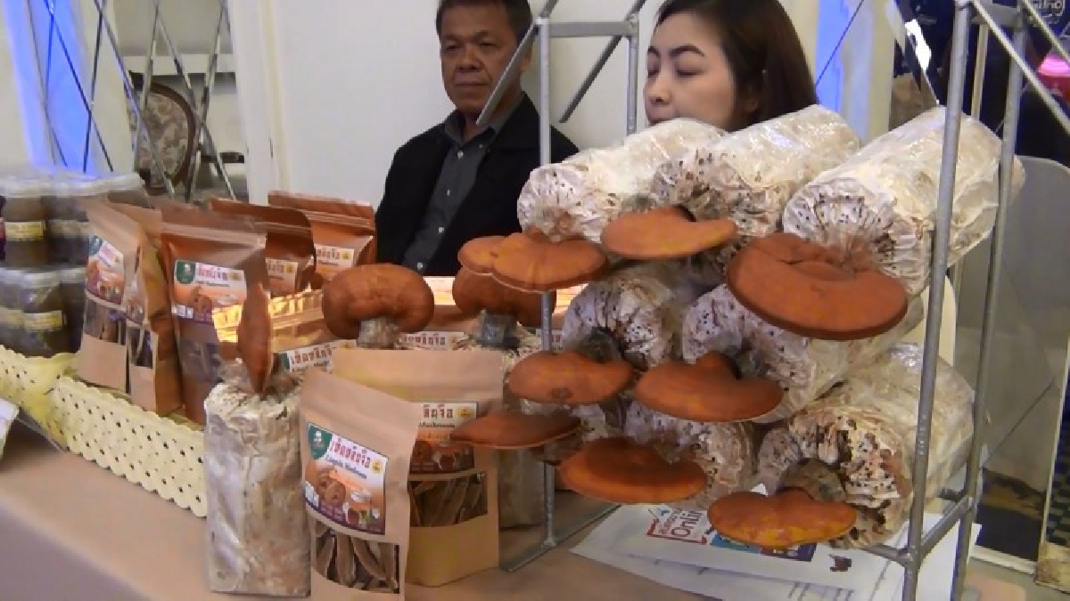 สงขลา!! งานอบรม “SMEs GO Onling” ล่องใต้ เสริมแกร่ง ในยุค 4.0 เพื่อส่งเสริมผู้ประกอบการ SMEs เข้าสู่อีคอมเมิร์ซและพัฒนาตลาดอิเล็กทรอนิกส์