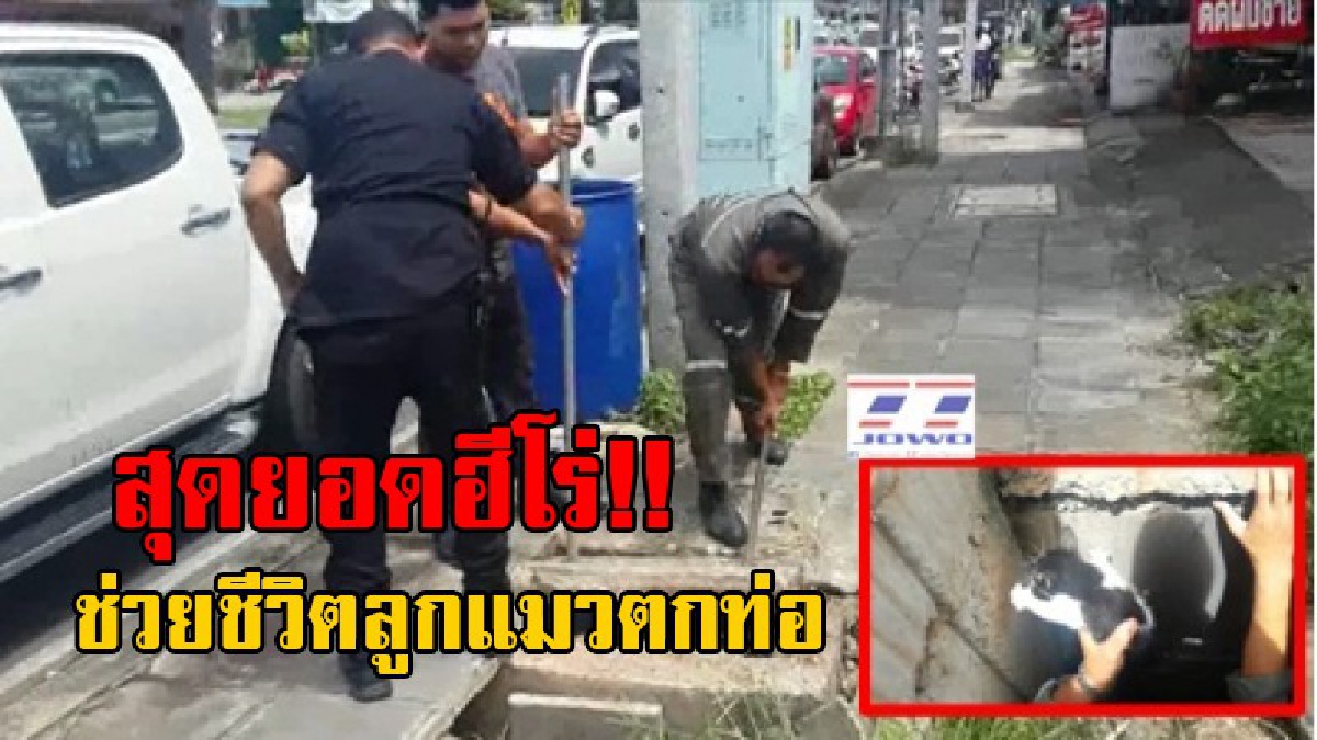 ดูกันชัดๆ..นาทีชีวิต!! ปรบมือรัวๆ ชื่นชม เทศกิจบุกช่วยแมวน้อย พลัดตกท่อระบายน้ำลึกกว่า 2 เมตร นานกว่า 2 วัน ซึ่งสามารถช่วยไว้ได้อย่างปลอดภัย