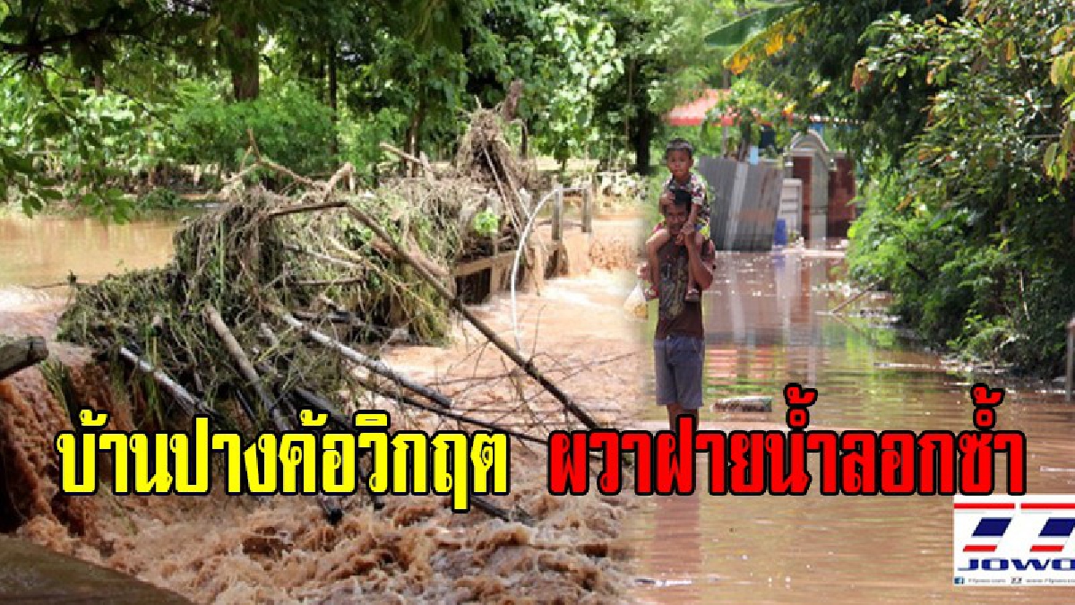 เดือดร้อนหนัก!!ฝนถล่มทองแสนขัน บ้านปางค้อ นาข้าว จมน้ำ สุดผวา!!ฝายน้ำลอก โดนน้ำซัดหนักหวั่นพังซ้ำ