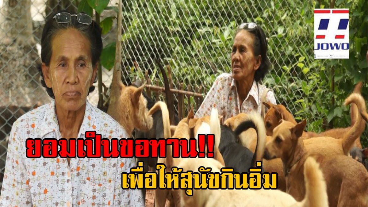 แม้จะเป็นขอทานก็ยอม!! ป้าใจบุญวัย54 รับจ้างล้างส้วมวัดเดือนละ 1,000 บาท นำเงินมาเลี้ยงสุนัข 43 ตัว เผยเมื่อเลี้ยงเขาแล้วก็จะไม่ปล่อยให้อดตาย