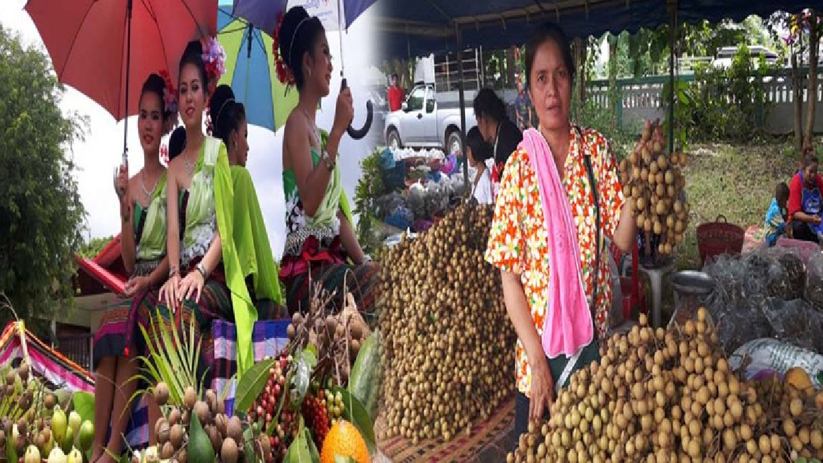 ยโสธร!! จัดงาน "ลำไยหวาน" ส่งเสริมการจำหน่ายสินค้าทางการเกษตร และเปิดตลาดผลิตผลทางการเกษตร ของชาวบ้านที่ปลูกลำไย!? (มีคลิป)