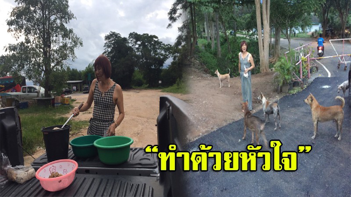 หัวใจสุดประเสริฐ!! อดีตบัณฑิตจุฬาฯ ยึดอาชีพหมอดู หารายได้เลี้ยงสุนัขจรจัดในเขตเมืองพัทยาและใกล้เคียงมานานกว่า 24 ปี (มีคลิป)
