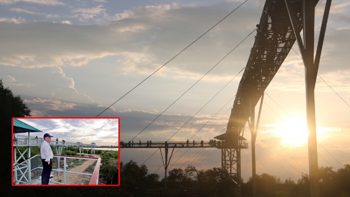 สุดงดงาม!? แห่งแรกชายแดนใต้ &ldquo;Pattani Adverture Park &rdquo; สะพานบนอากาศสุดสายตา แลนด์มาร์คแห่งใหม่ แหล่งท่องเที่ยวเชิงผจญภัย!? (ชมคลิป)