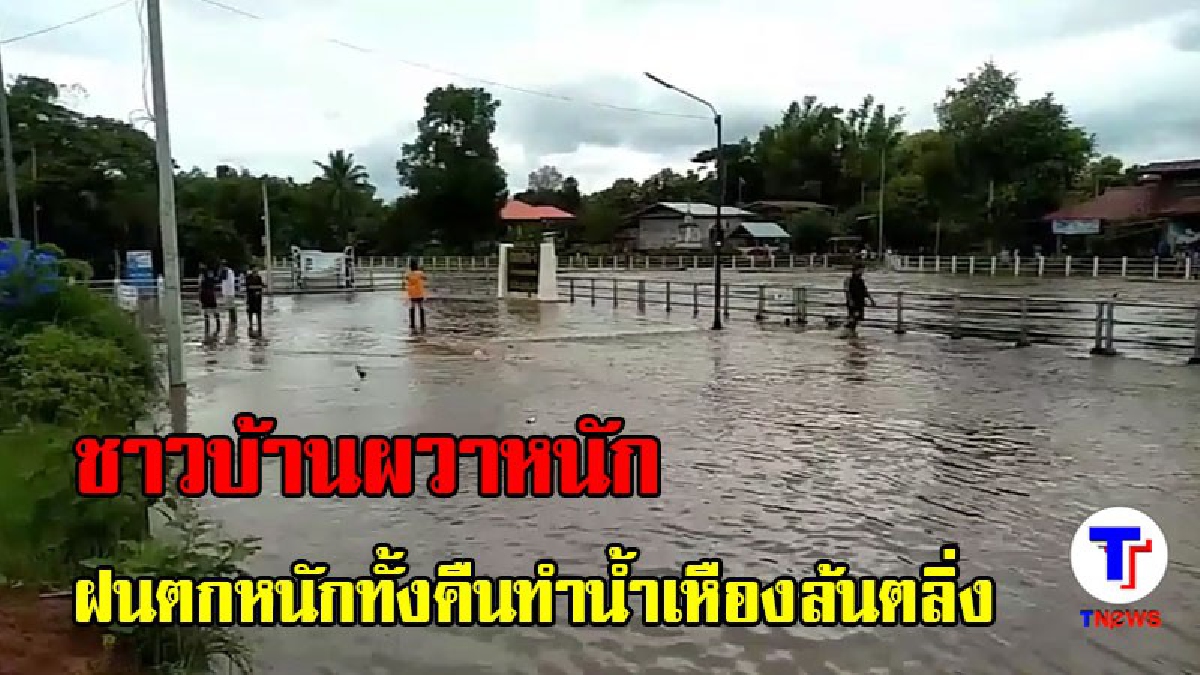 ชาวบ้านผวาหนัก!! ฝนถล่มนาแห้วหนักทั้งคืน จนน้ำในแม่น้ำเหืองล้นตลิ่ง ท่วมชายแดนไทย-ลาว ทำเอาชาวบ้านแตกตื่นกันทั้งหมู่บ้าน เพิ่งเคยเห็น (คลิป)