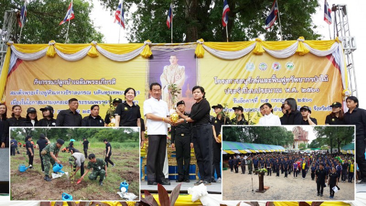 ชาวชัยนาท!! ร่วมปลูกป่า ฟื้นฟูทรัพยากรป่าไม้ เฉลิมพระเกียรติ “ในหลวง ร.10” กว่า 20,000 ต้น เพื่อฟื้นฟูเขาท่าพระและฟื้นฟูทรัพยากรป่าไม้