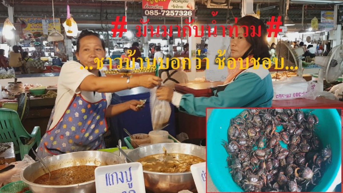 มันมากับน้ำ!!! ชาวบ้านชอบใจ ปูนาตามท้องนา หนีฝนออกมาให้ดักเพียบ เผยช่วยสร้างรายได้เป้นกอบเป็นกำ (มีคลิป)
