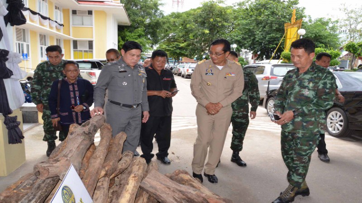 กอ.รมน.กาฬสินธุ์สนธิกำลังหน่วยป้องกันรักษาป่าที่ กส.5 และอีกหลายหน่วยงาน จับแก๊งค้าไม้พะยูงข้ามชาติ ยึดของกลางมูลค่ากว่า 2 ล้านบาท