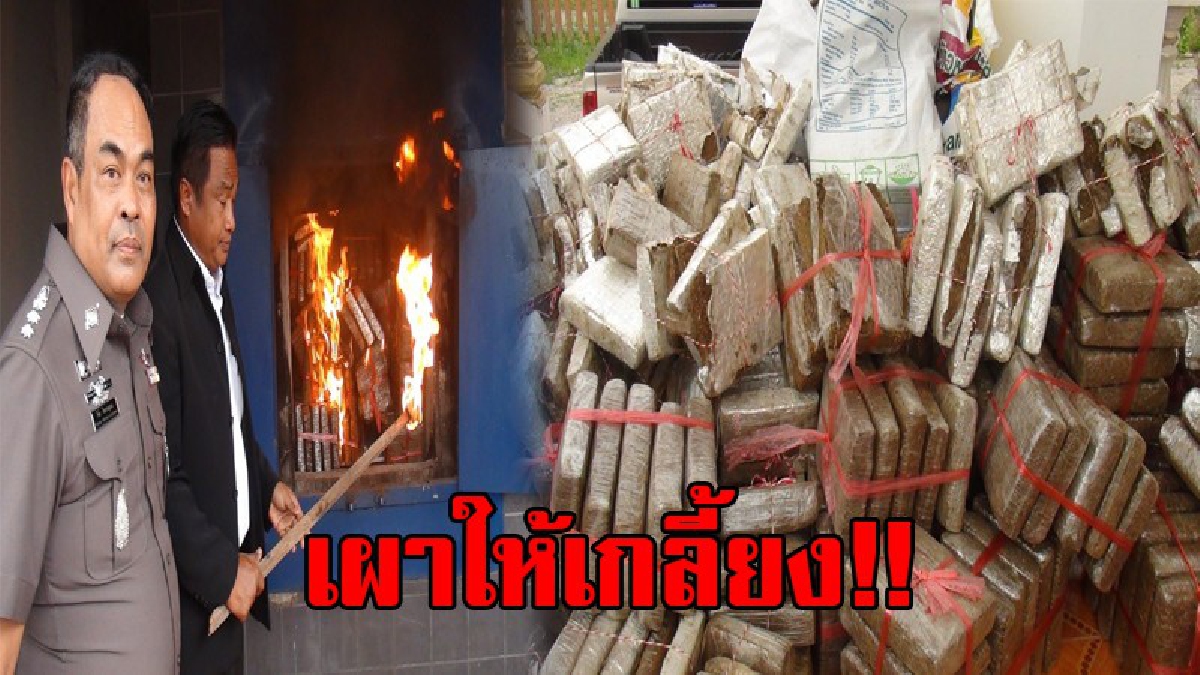 เปิดเมรุเผา!! สภ.เมืองพัทลุงเผากัญชาแท่งของกลางจำนวน 1,434 แท่ง พร้อมต้นพืชกระท่อมและอุปกรณ์การผลิต (ชมคลิป)