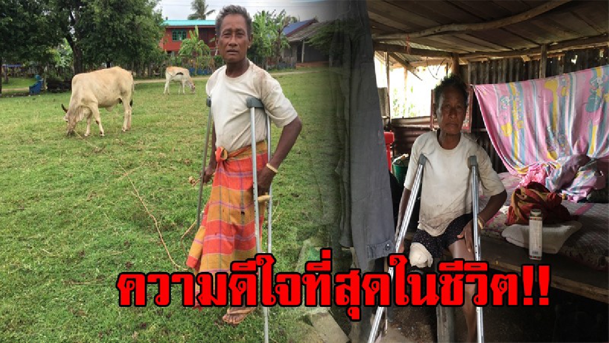สุดปลื้มใจ!! ลุงบูได้รับวัว 2 ตัว กลับคืนมาเลี้ยง ชาวบ้านต่างพากันดีใจแทนลุงบู ที่ได้สมบัติบั่นปลายชีวิตกลับคืนมาอีกครั้ง!? (ชมคลิป)