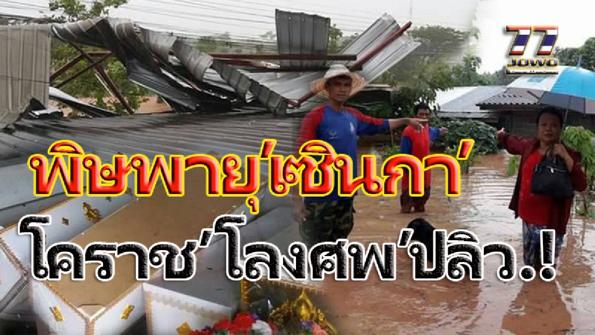 อ่วมอรทัย!! พายุฝน &ldquo;เซินกา&rdquo; ถล่มโคราช &ldquo;โลงศพ-พวงหรีด&rdquo;ปลิวว่อน  ต้นไม้ใหญ่โค่นทับศาลาทำนักเรียนเจ็บ น้ำล้นอ่างท่วมหมู่บ้าน