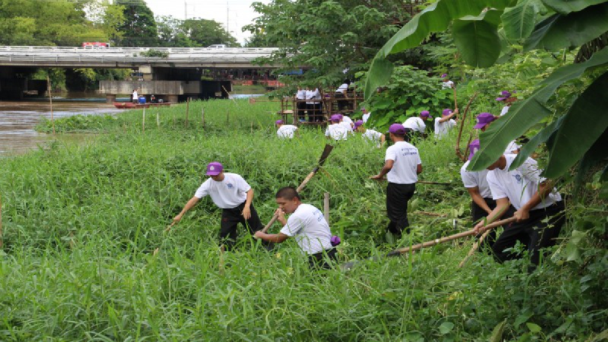 ตำรวจภูธรภาค 5 นำกำลังพลและประชาชนร่วมแก้ไขปัญหาผักตบชวา เปิดทางน้ำไหลในฤดูน้ำหลาก (มีคลิป)
