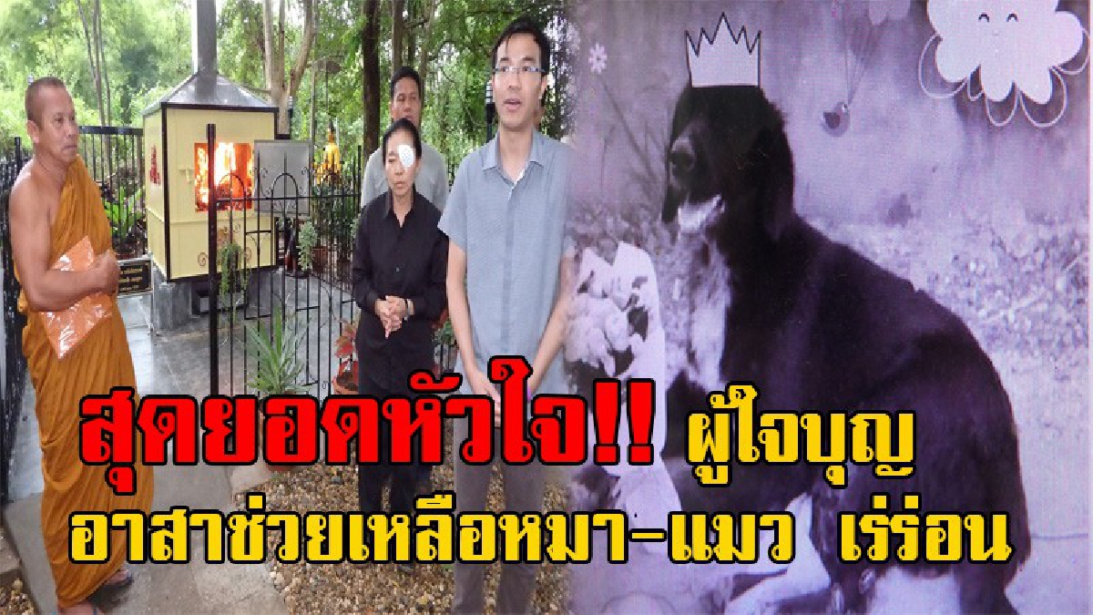 สุดฮือฮา!! คนรักสุนัข ใจบุญวัย72 ขออาสาทำพิธีเผา สุนัขที่ถูกรถชนตาย พร้อมมีพระมาทำพิธี สวดบังสุกลให้อีกด้วย (มีคลิป)