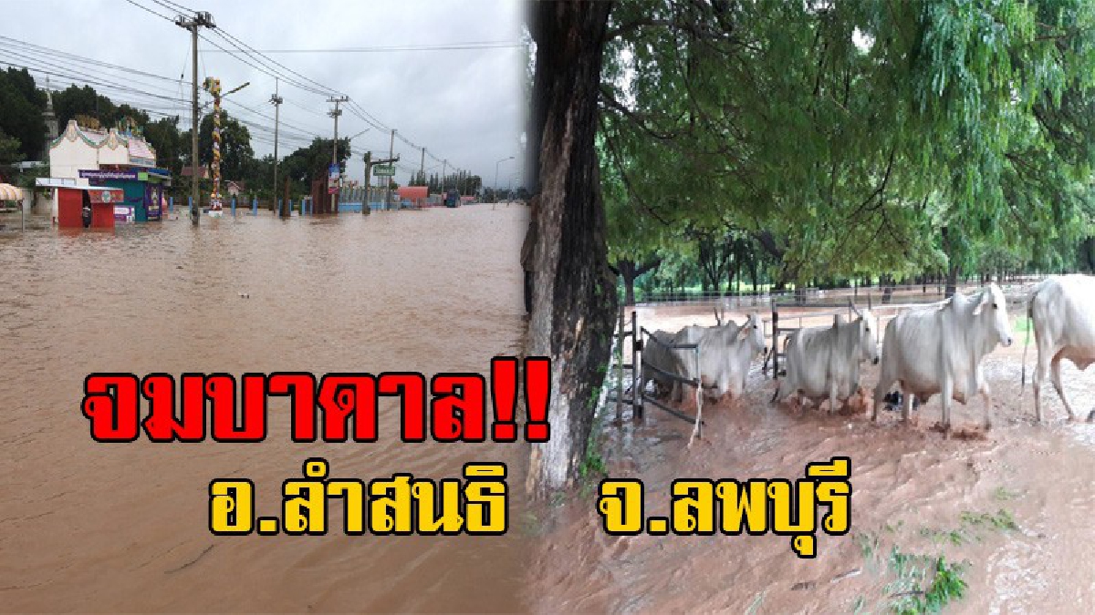 อ่วมหนัก!! ฝนตกหนักตลอดทั้งคืน ทำให้มีน้ำป่าไหลหลาก เข้าท่วมพื้นที่ อ.ลำสนธิ อย่างกระทันหัน หน่วยงานที่เกี่ยวข้อง เร่งช่วยเหลือชาวบ้าน(คลิป)