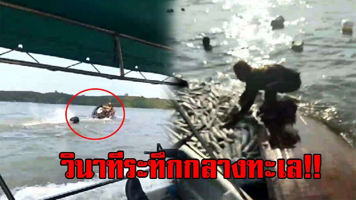 ไล่ล่าระทึก!! สุดดุเดือด เจ้าหน้าที่สนธิกำลัง รวบแก๊งยาเสพติดกลางทะเล คนร้ายสุดตกใจ สละเรือ ทิ้งของกลาง กระโดดลงน้ำ หวังรอด!? (ชมคลิป)