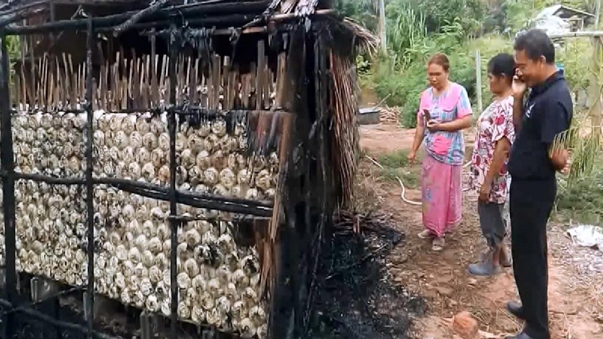 ตร.เร่งหาเบาะแส คนร้ายลอบวางเพลิงเผาฟาร์มเห็ดหลินจือแดงเจ้าดังสงขลา คาดต้องการเผาวอดทั้งฟาร์ม เจ้าของระบุน่าจะเป็นบุคคลใกล้ตัว (มีคลิป)