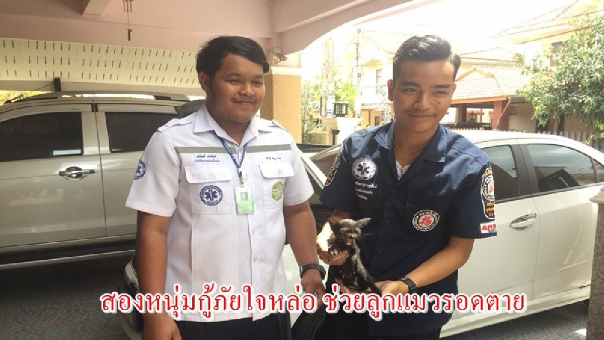 ใจหล่อจริงๆ!! ชิวิตเล็กก็ต้องช่วยให้ปลอดภัย เจ้าหน้าที่มูลนิธิช่วยเหลือลูกแมว เข้าไปติดในห้องเครื่องรถยนต์หนึ่งชีวิตก็มีค่า!? (มีคลิป)