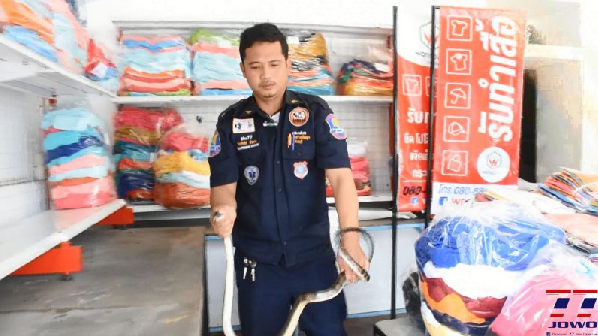 แทบช็อก!! ลูกจ้างร้านทำเสื้อ ตกใจสุดขีด นั่งคุยกับเพื่อนอยู่ดีๆ งูเลื้อยผ่านต่อหน้าต่อตา (มีคลิป)