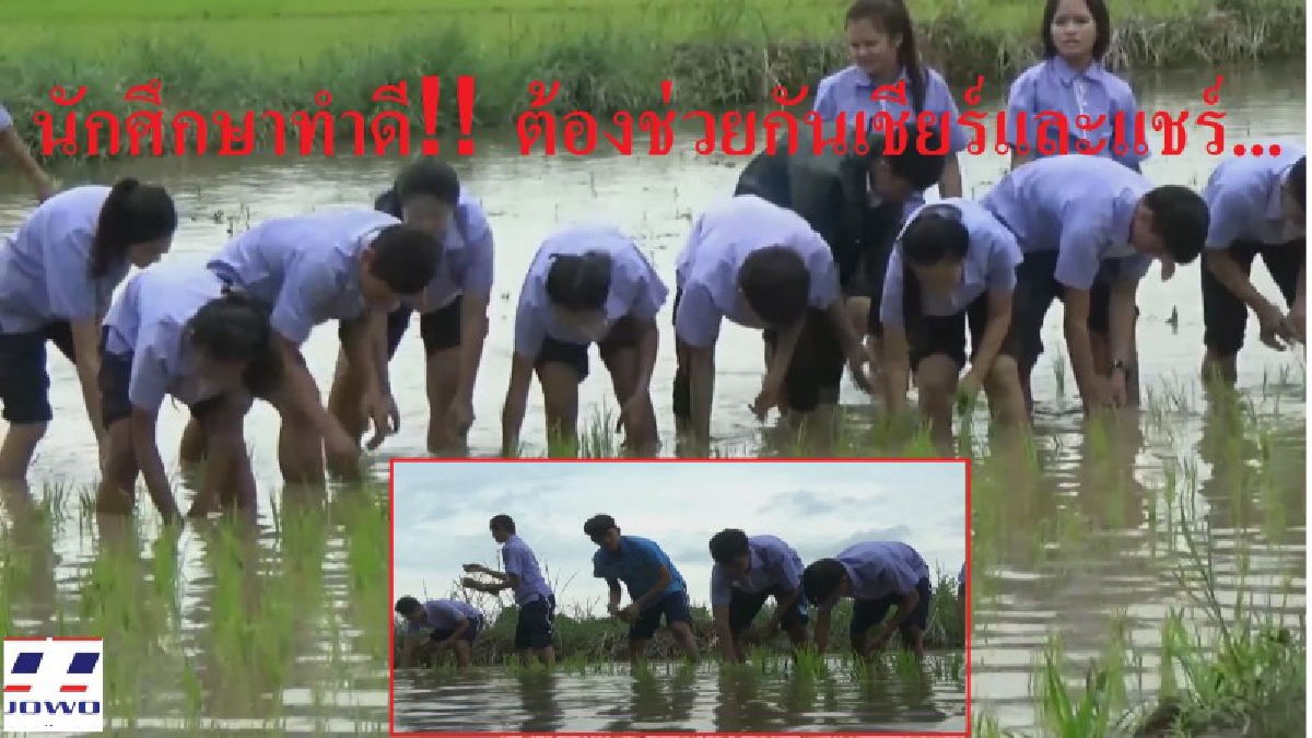 คิดดีทำดีต้องแชร์!! วิทยาลัยดังจังหวัดสุโขทัย นำนักศึกษาช่วยกันลงแขกดำนาตามศาสตร์พระราชา (มีคลิป)