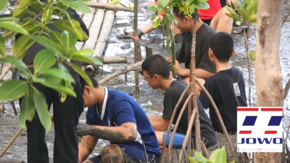 สมุทรสงคราม - นักเรียนร่วมปลูกต้นโกงกางเฉลิมพระเกียรติสมเด็จพระเจ้าอยู่หัวมหาวชิราลงกรณบดินทรเทพยวรางกูร (มีคลิป)